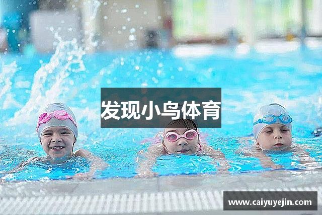 发现小鸟体育